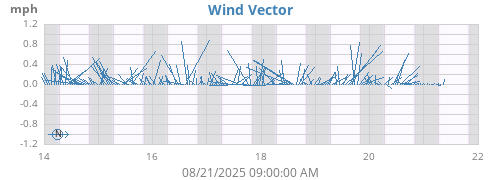 weekwindvec